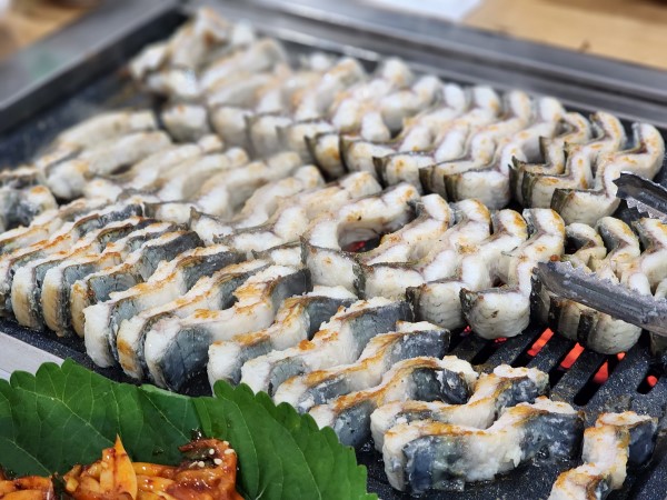 a4ec2550b72307a0c20d4527e67cb84a_1705640090_4007.jpg a4ec2550b72307a0c20d4527e67cb84a_1705640090_4007.jpg