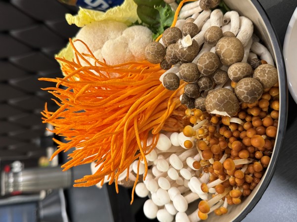 c4fd341471655356a8c96b2380a55a18_1736144929_2792.jpg c4fd341471655356a8c96b2380a55a18_1736144929_2792.jpg